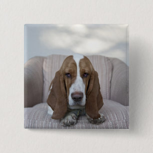 Bóton Quadrado 5.08cm Basset Hound