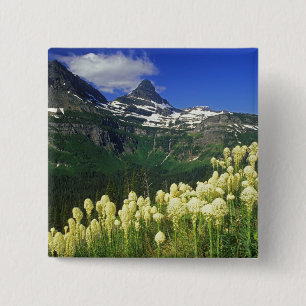 Bóton Quadrado 5.08cm Beargrass no Logan Pass no Parque Nacional Glacier