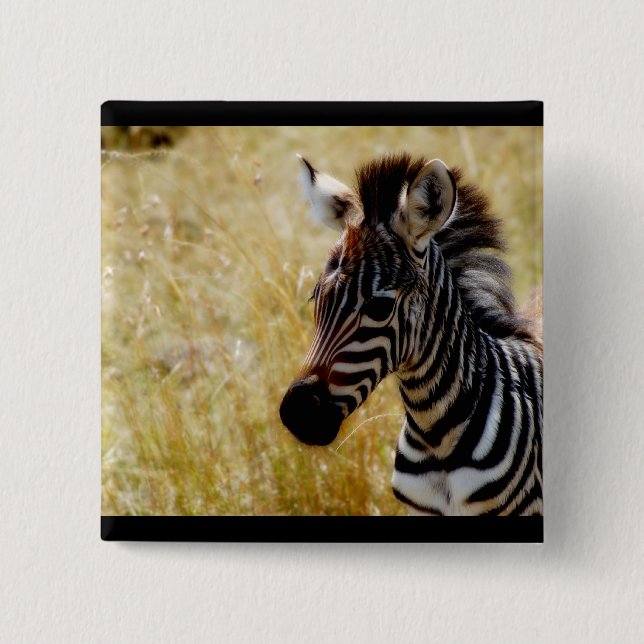 Bóton Quadrado 5.08cm Bebê dos animais selvagens do potro da zebra (Frente)