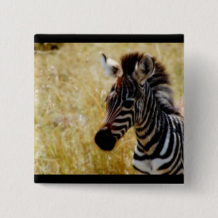Bóton Quadrado 5.08cm Bebê dos animais selvagens do potro da zebra