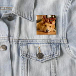 Bóton Quadrado 5.08cm Bebês Mais Pobres   Berna de Natal de Corgi