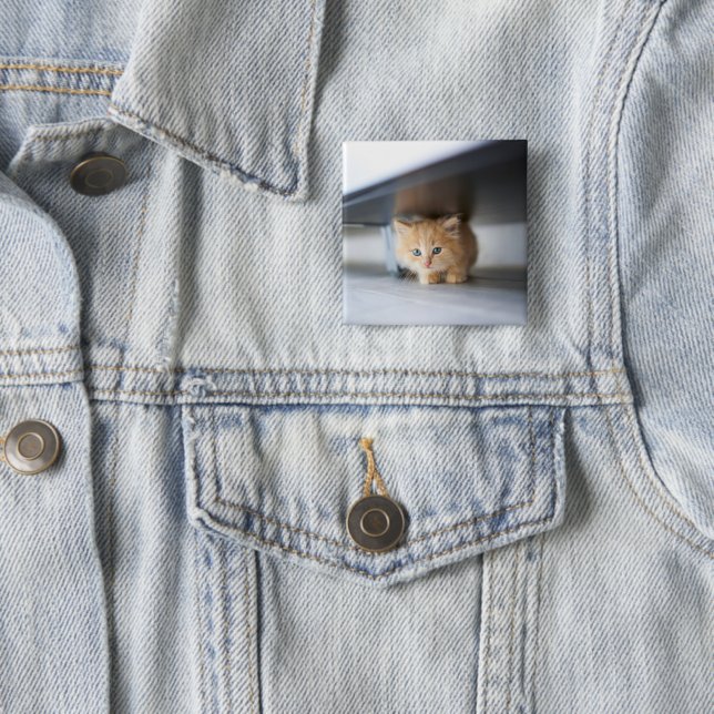 Bóton Quadrado 5.08cm Bebês Mais Pobres | Fluffy Orange Kitten (In Situ)