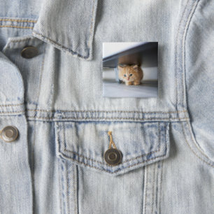 Bóton Quadrado 5.08cm Bebês Mais Pobres Fluffy Orange Kitten