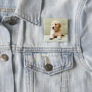Bóton Quadrado 5.08cm Bebês Mais Pobres Ouro Retriever Puppy