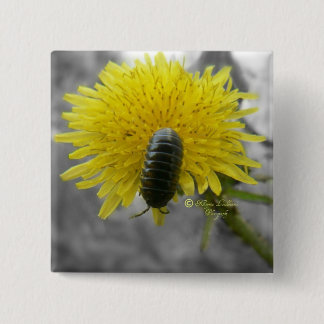 Bóton Quadrado 5.08cm Belamente assustador: Flor de Rolie Polie