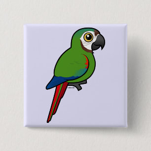 Bóton Quadrado 5.08cm Birdorable Castanha-fronteou o Macaw
