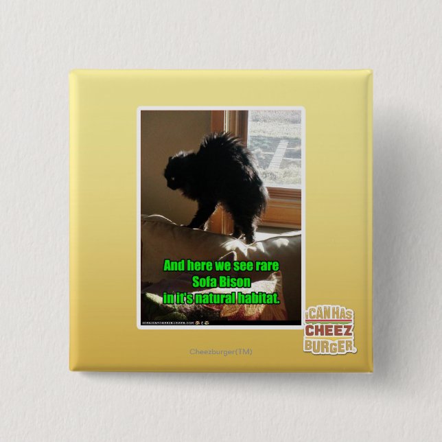 Bóton Quadrado 5.08cm Bisonte do sofá (Frente)