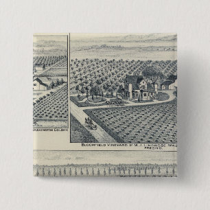 Bóton Quadrado 5.08cm Bonacourt Ranch, Colônia de Washington, Califórn