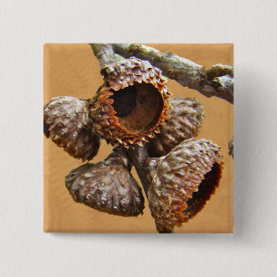 Bóton Quadrado 5.08cm Bonés Oak Acorn