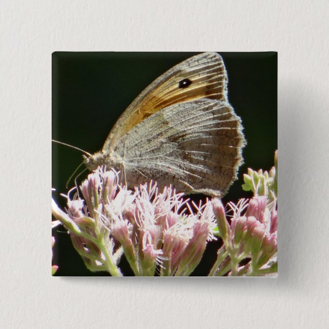 Bóton Quadrado 5.08cm Bonito borboleta grande (Frente)