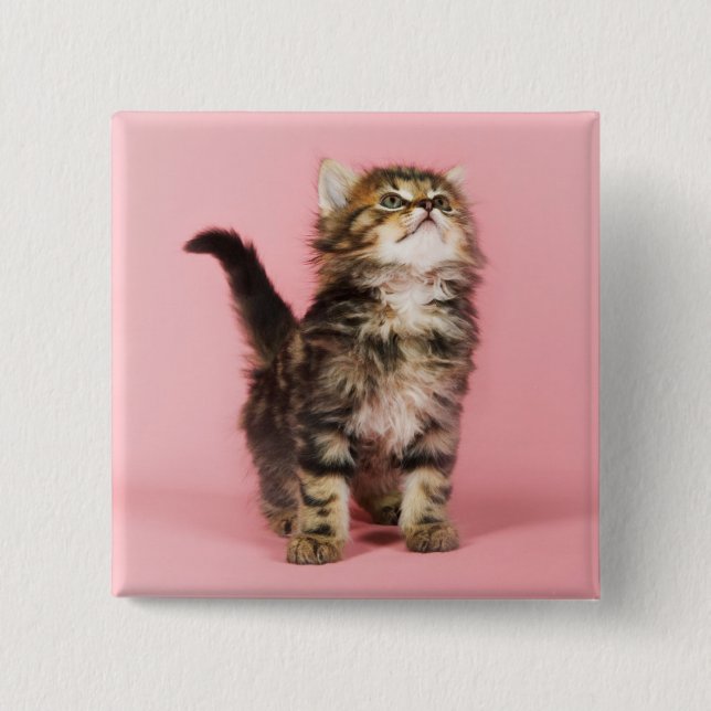 Bóton Quadrado 5.08cm Bonito no gatinho cor-de-rosa (Frente)