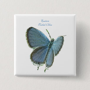 Bóton Quadrado 5.08cm Borboleta Azul De Altura Oriental