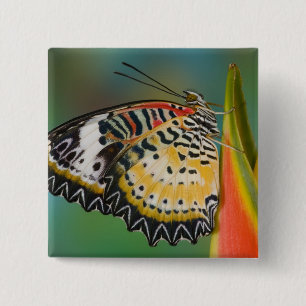 Bóton Quadrado 5.08cm Borboleta em Flor Tropical