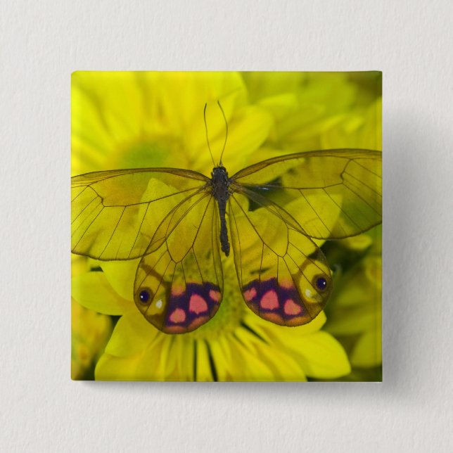 Bóton Quadrado 5.08cm Borboleta no Amarelo (Frente)
