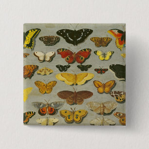 Bóton Quadrado 5.08cm Borboletas