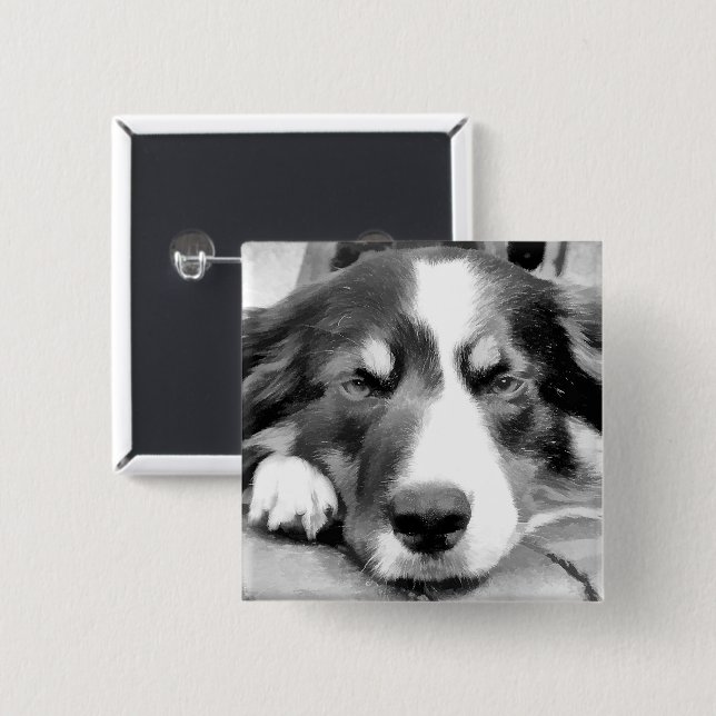 BÓTON QUADRADO 5.08CM BORDER COLLIE (Frente & Verso)