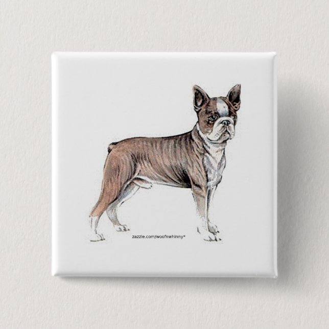 Bóton Quadrado 5.08cm Boston Terrier (Frente)