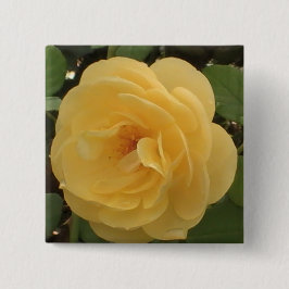 Bóton Quadrado 5.08cm Botão Amarelo da Camellia