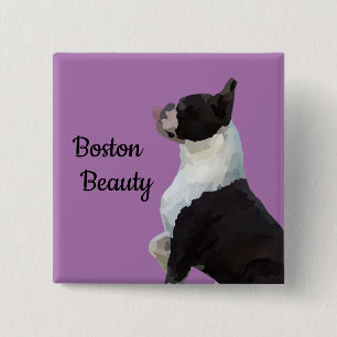 Bóton Quadrado 5.08cm Botão Bonito de Pino de Bela Boston Terrier Boston