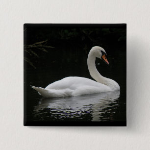 Bóton Quadrado 5.08cm Botão branco cinza do Cisne