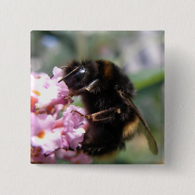 Bóton Quadrado 5.08cm Botão Bumblebee Ocupado e Flores Rosa (Frente)