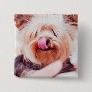 Bóton Quadrado 5.08cm Botão Cachorro Cortado 8