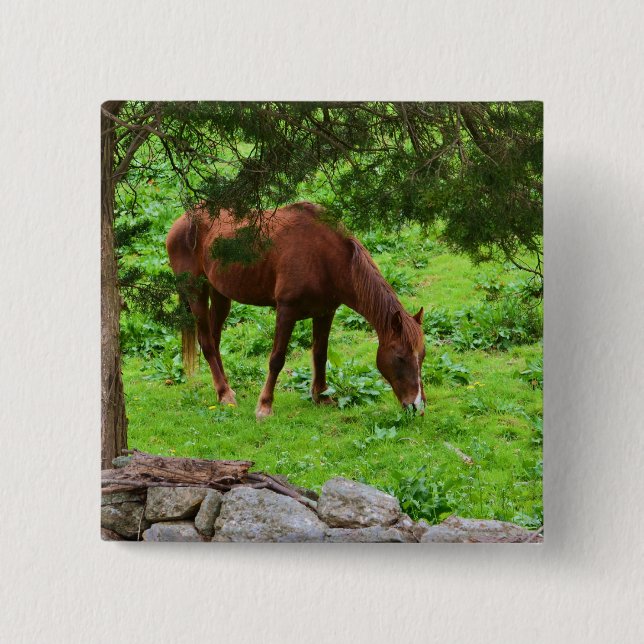 Bóton Quadrado 5.08cm Botão Cavalo (Frente)