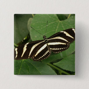 Bóton Quadrado 5.08cm Botão da borboleta de Longwing da zebra