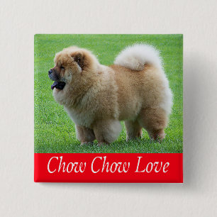 Bóton Quadrado 5.08cm Botão de Amor ao Cachorro Chow Chow