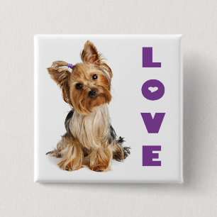 Bóton Quadrado 5.08cm Botão de Amor Cachorrinho Yorkshire Terrier