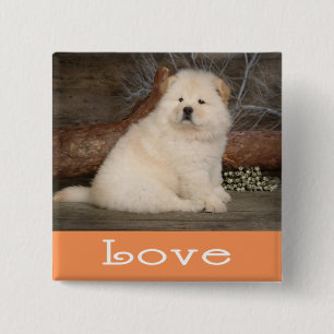 Bóton Quadrado 5.08cm Botão de Amor Cachorro Chow Chow