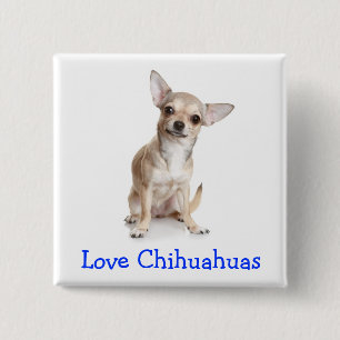 Bóton Quadrado 5.08cm Botão de Amor Chihuahuas