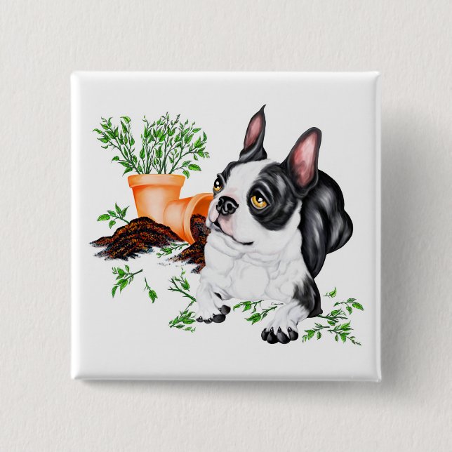 Bóton Quadrado 5.08cm Botão de Boston Terrier Malandro (Frente)