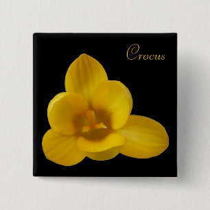 Bóton Quadrado 5.08cm Botão de Flor de Crocus Amarelo Personalizável