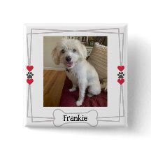 Botão de foto personalizado de animais de estimaçã
