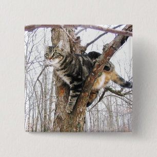 Bóton Quadrado 5.08cm Botão de Gato de Tabulação Quadrado