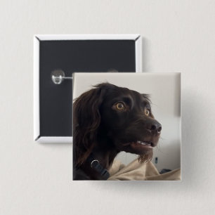 Bóton Quadrado 5.08cm Botão de Pino Memória do Cachorro Confuso
