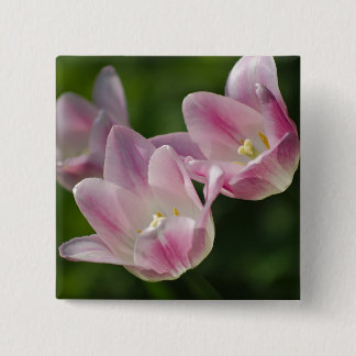Bóton Quadrado 5.08cm Botão de três tulipas cor-de-rosa