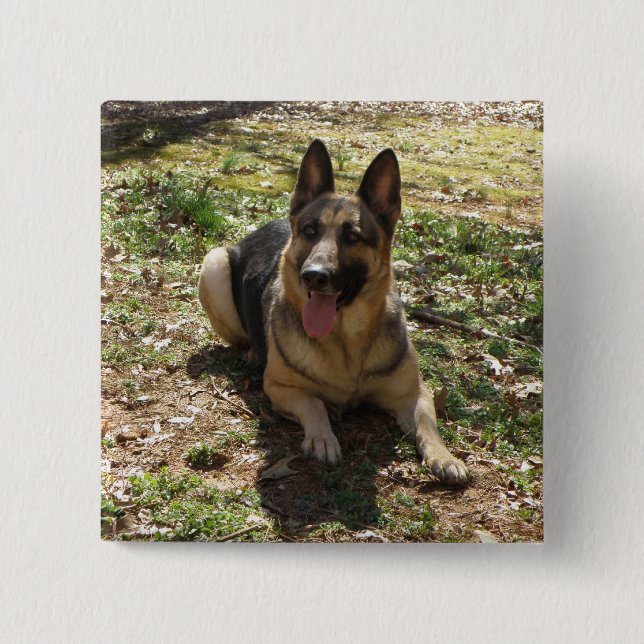 Bóton Quadrado 5.08cm Botão do german shepherd (Frente)