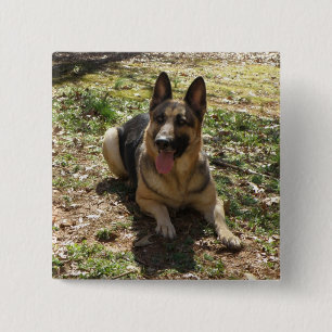 Bóton Quadrado 5.08cm Botão do german shepherd