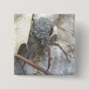 Bóton Quadrado 5.08cm Botão do Ovo dos Filhos de Aranha do Lobo