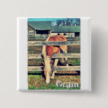 Botão do quadrado da edição de luxo do grama