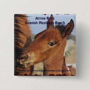 Bóton Quadrado 5.08cm Botão espanhol do potro do mustang