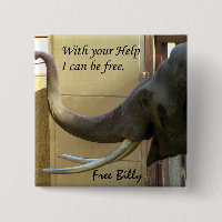 Botão Free Billy-The Elephabt_