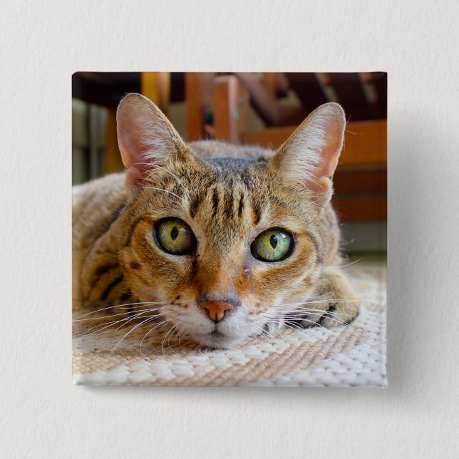 Bóton Quadrado 5.08cm Botão Gato de Corte (Frente)