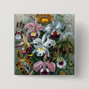 Bóton Quadrado 5.08cm Botão Ilustração do Estudo da Orquídea Haeckel