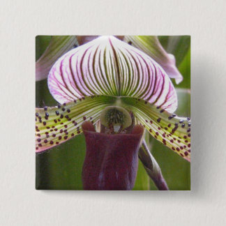 Bóton Quadrado 5.08cm Botão original da orquídea