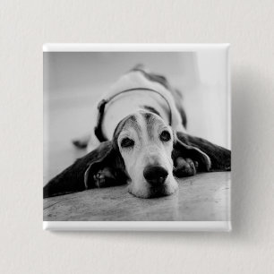 Bóton Quadrado 5.08cm Botão preto & branco de Basset Hound