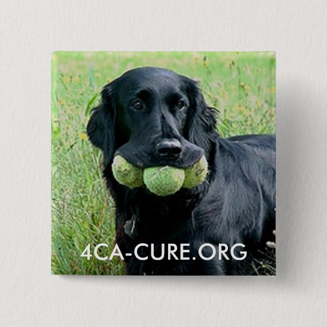 Bóton Quadrado 5.08cm Botão Quadrado (Frente)