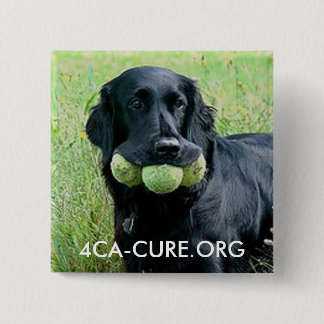 Bóton Quadrado 5.08cm Botão Quadrado